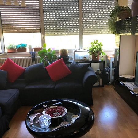 Baci Da Roma Apartament Zewnętrze zdjęcie