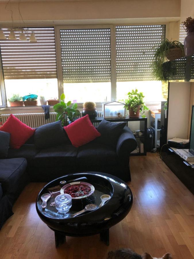 Baci Da Roma Apartament Zewnętrze zdjęcie
